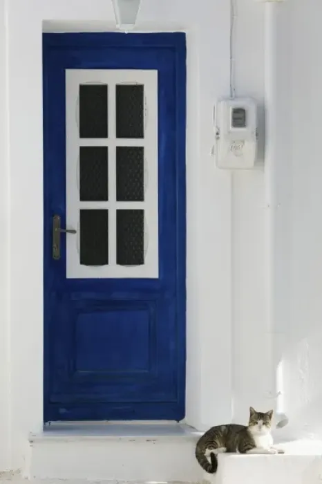 Framed Print : GREECE, Northeastern Aegean Islands, SAMOS, Kokkari: Village Door with Cat Framed Print : GREECE, Northeastern Aegean Islands, SAMOS, Kokkari: Village Door with Cat