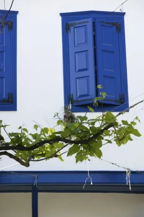 Framed Print : GREECE, Northeastern Aegean Islands, SAMOS, Vourliotes: Building Detail