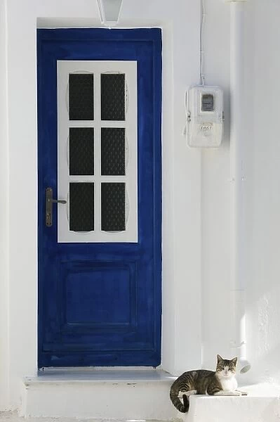 GREECE, Northeastern Aegean Islands, SAMOS, Kokkari: Village Door with Cat