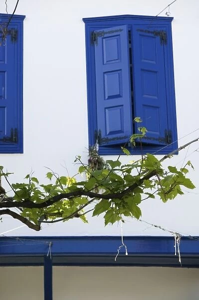 GREECE, Northeastern Aegean Islands, SAMOS, Vourliotes: Building Detail