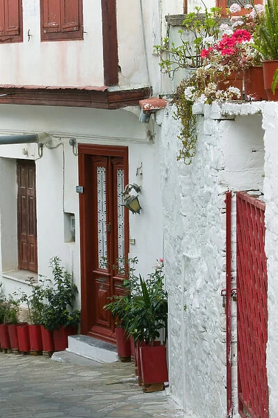 GREECE-Northeastern Aegean Islands-SAMOS-Vathy (Samos Town): Ano Vathy Village- Street