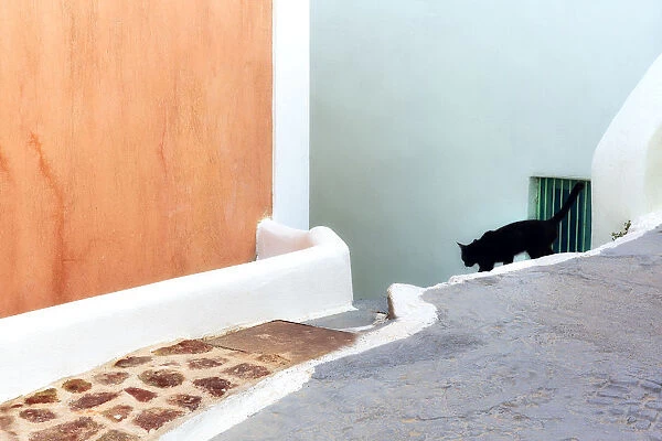 Greece, Santorini. Black cat descending stairway