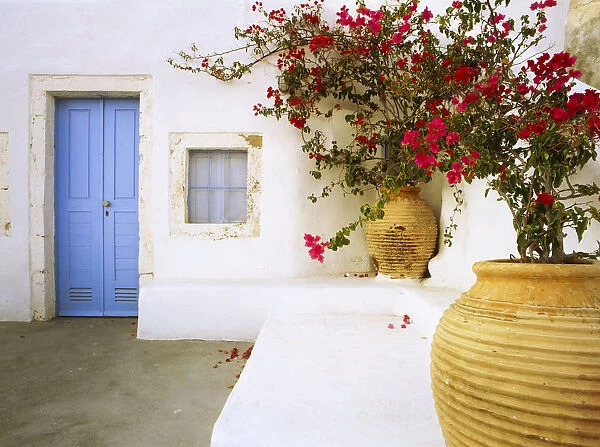 Greece, Santorini. Blue door to house and potted flowers