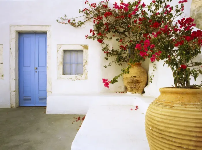 Framed Print : Greece, Santorini. Blue door to house and potted flowers Framed Print : Greece, Santorini. Blue door to house and potted flowers