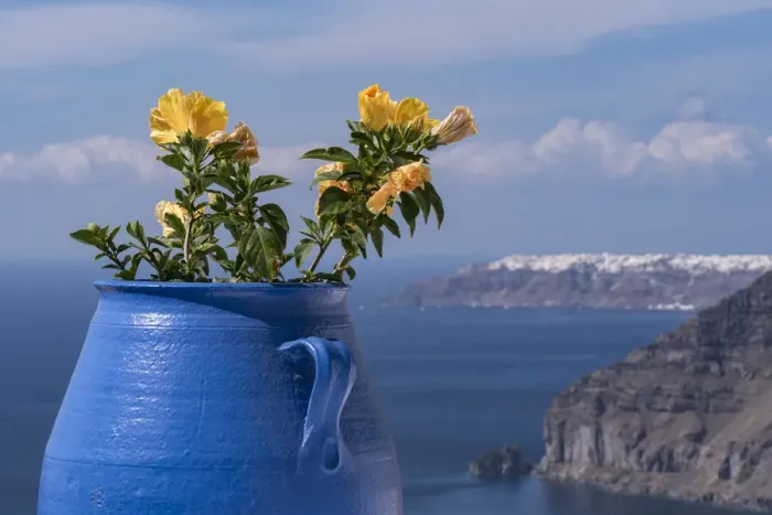 Framed Print : Greece, Santorini. Blue flower pot with hibiscus flowers juxtaposed again the rugged slopes Framed Print : Greece, Santorini. Blue flower pot with hibiscus flowers juxtaposed again the rugged slopes