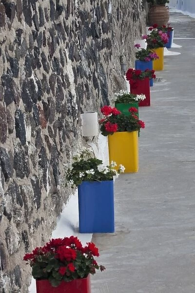 Greece, Santorini. Colorful Geranium planters in Firostefanio