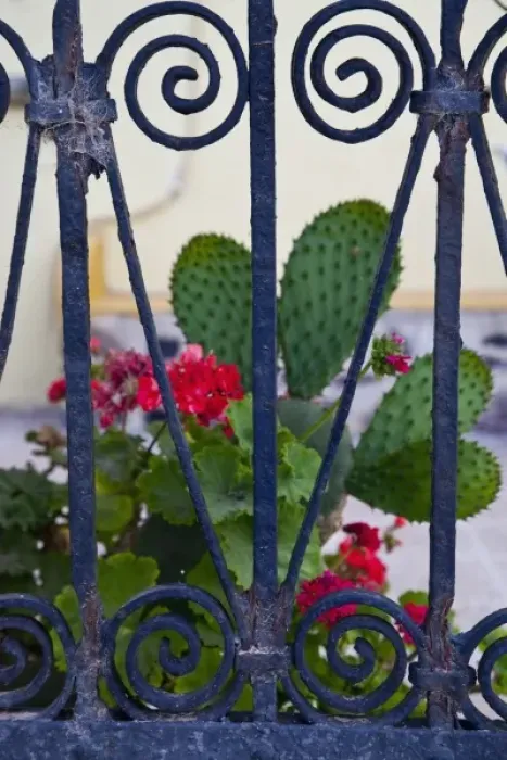 Framed Print : Greece, Santorini. Gates on the Grecian island