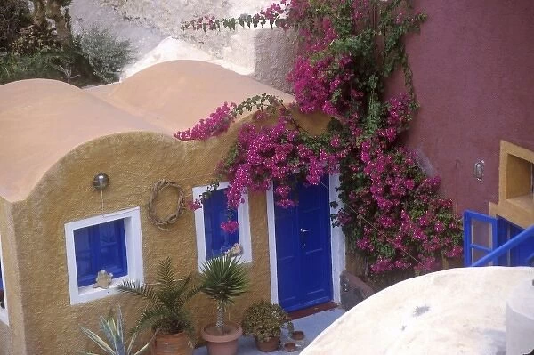 Greece, Santorini, Oia. Typical architecture and foliage of the town