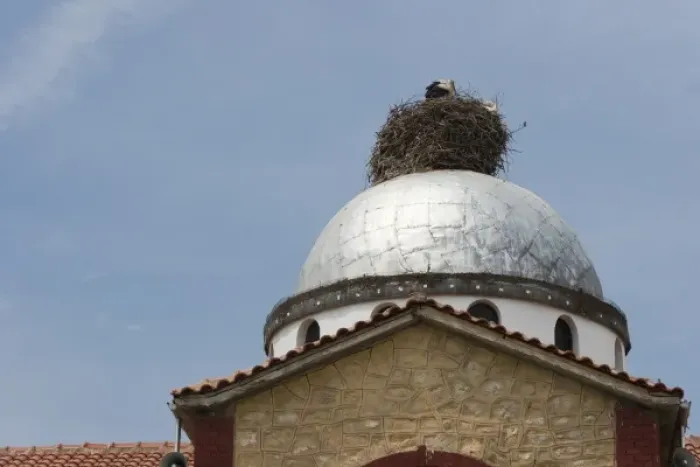 Framed Print : Greece. Stork nest on church dome Framed Print : Greece. Stork nest on church dome