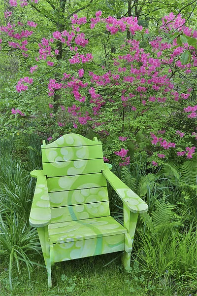 Green chair and azalea in bloom, Chanticleer Garden, Wayne, Pennsylvania