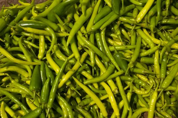 Framed Print : Green chilies for sale, Fatehpur Sikri, Uttar Pradesh, India