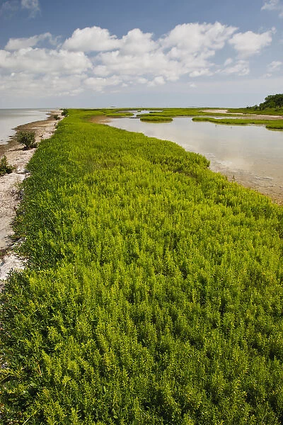 Green Island Sanctuary on the Laguna Madre, Texas coast
