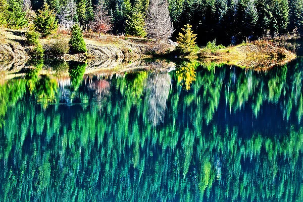 Green Trees Gold Lake Reflection Snoqualme Pass Washington
