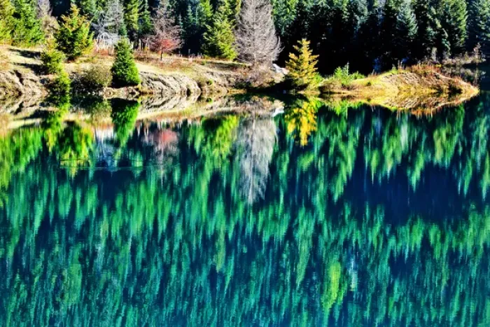 Framed Print : Green Trees Gold Lake Reflection Snoqualme Pass Washington