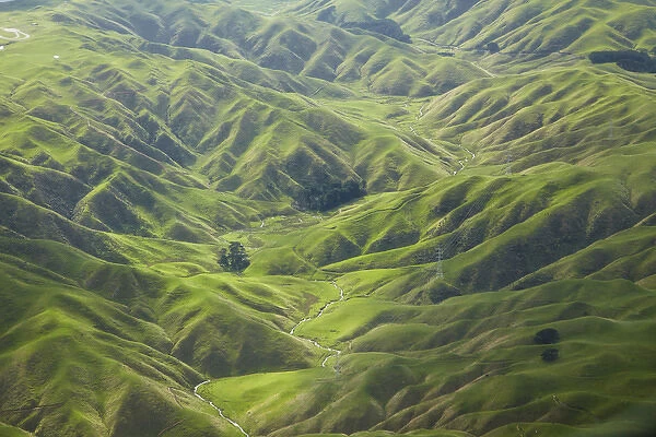 Green valleys and farmland, near Ohariu, Wellington, North Island, New Zealand - aerial