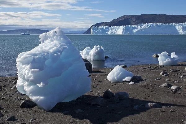 Greenland, Ilulissat, Icebergs calved from Eqip Glacier stranded at low tide on gravel
