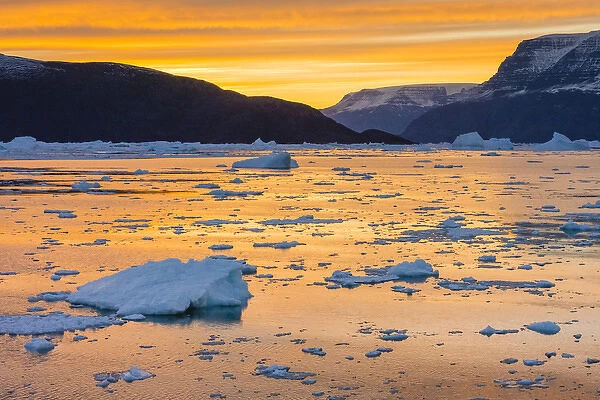 Greenland, Scoresby Sund, Gasefjord. Sunset with icebergs and brash ice