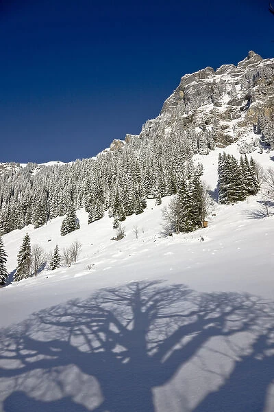 Griesalp and Steineberg in deep snow in Kiental, Switzerland
