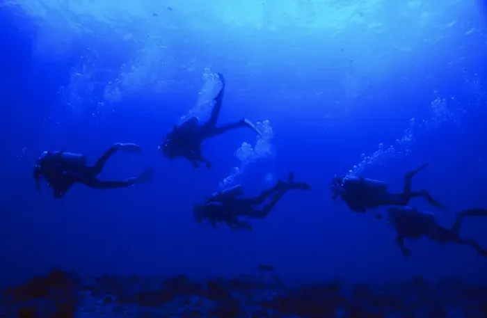 Framed Print : Group of Japanese scuba divers following each other in the Blue Corner, Republic of Palau