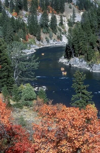 A group of rafts floating down a river in autumn