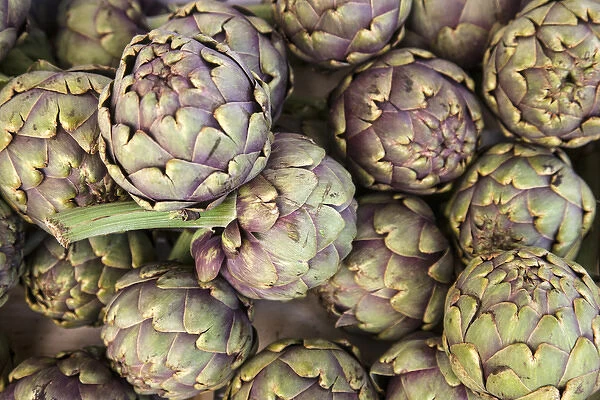 Grown in the Aquitaine provence of France, these artichokes were being sold at the