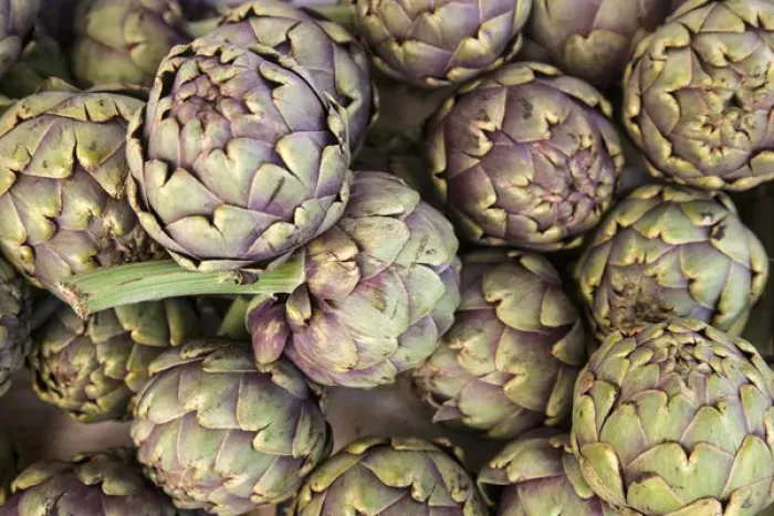 Framed Print : Grown in the Aquitaine provence of France, these artichokes were being sold Framed Print : Grown in the Aquitaine provence of France, these artichokes were being sold