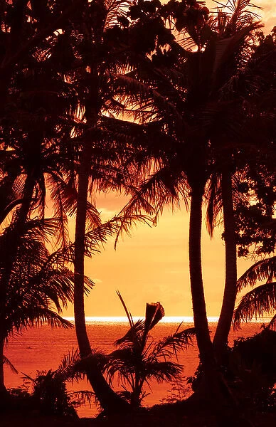 Guam USA Territory palms and sunset near Hagatna capital