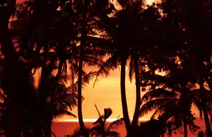 Framed Print : Guam USA Territory palms and sunset near Hagatna capital Framed Print : Guam USA Territory palms and sunset near Hagatna capital