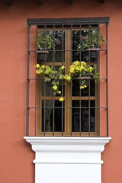 Guatemala, Antigua. Window with flower pots on colonial home in Antigua