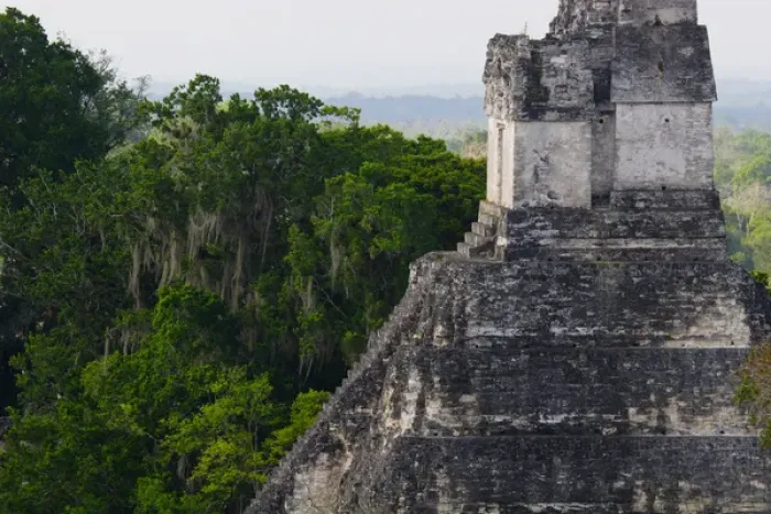 Framed Print : Guatemala, Tikal, Temple 1 seen from temple 5 Framed Print : Guatemala, Tikal, Temple 1 seen from temple 5