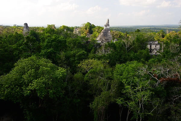 Guatemala, Tikal, vista from temple 5 onto main plaza