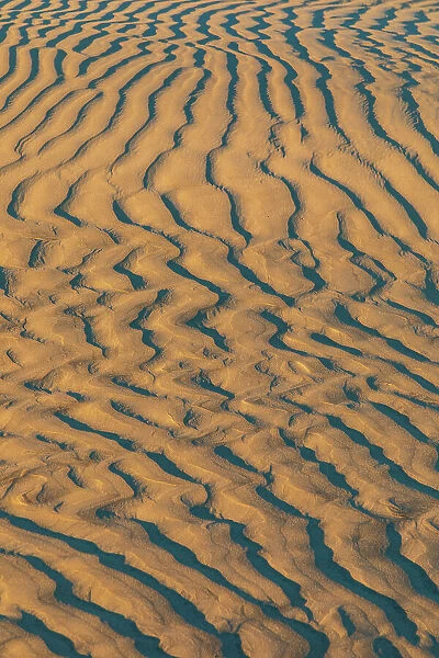 Guerrero Negro, Mulege, Baja California Sur, Mexico. Sand dunes at sunset along the western coast