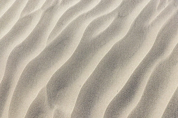 Guerrero Negro, Mulege, Baja California Sur, Mexico. Sand dunes along the western coast