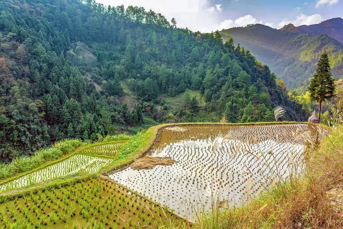 Framed Print : Guizhou Province, China. Landscape view of village rice terraces reflecting the sky on mountainside overlooking a valley