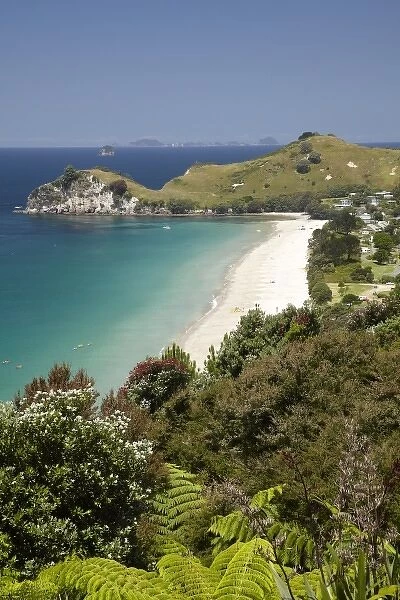 Hahei, Coromandel Peninsula, North Island, New Zealand