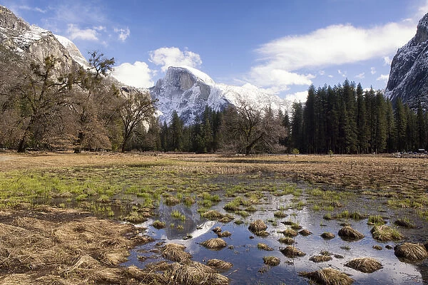 Half Dome with reflections seen from Cooks Meadow. Yosemite National Park. California