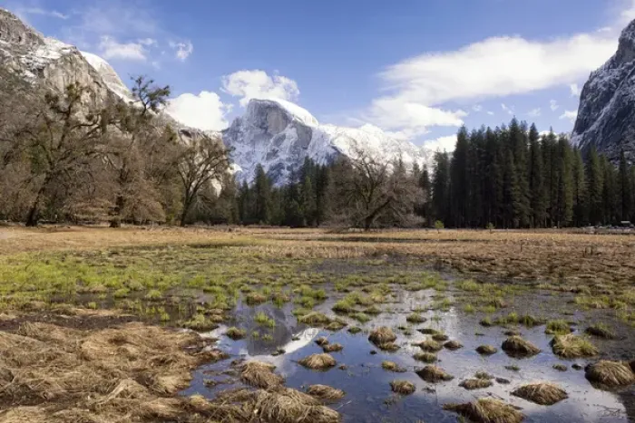 Framed Print : Half Dome with reflections seen from Cooks Meadow. Yosemite National Park. California