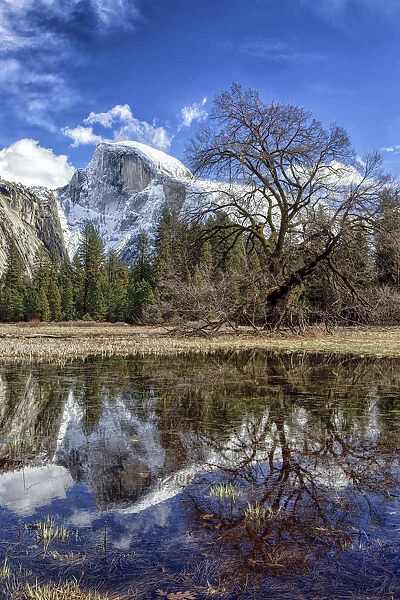 Half Dome with reflections seen from Cooks Meadow. Yosemite National Park. California