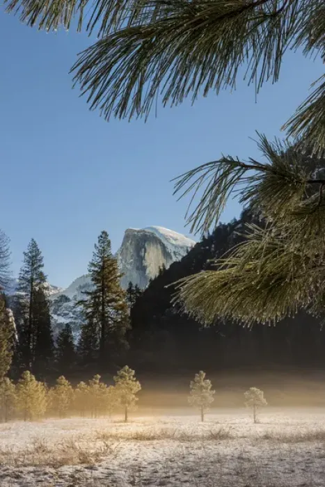 Framed Print : Half Dome from valley floor. Yosemite, California, US Framed Print : Half Dome from valley floor. Yosemite, California, US