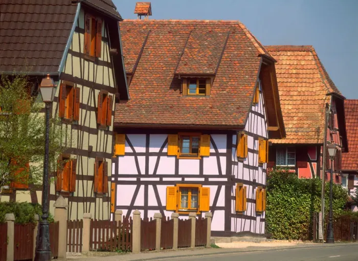 Framed Print : Half timbered houses, Haut Rhin, Alsace, France