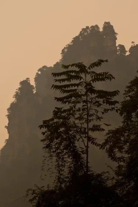 Framed Print : Hallelujah Mountains China, Wulingyuan District, Landscape and many peaks on display