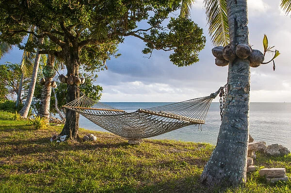 Hammock on a beach in Haa'apai, Haapai, islands, Tonga, South Pacific