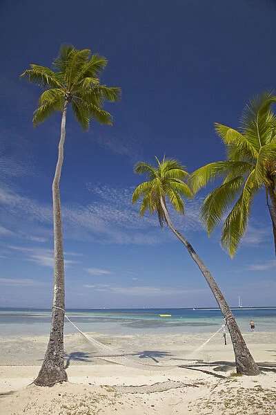 Hammock and palm trees, Plantation Island Resort, Malolo Lailai Island, Mamanuca Islands