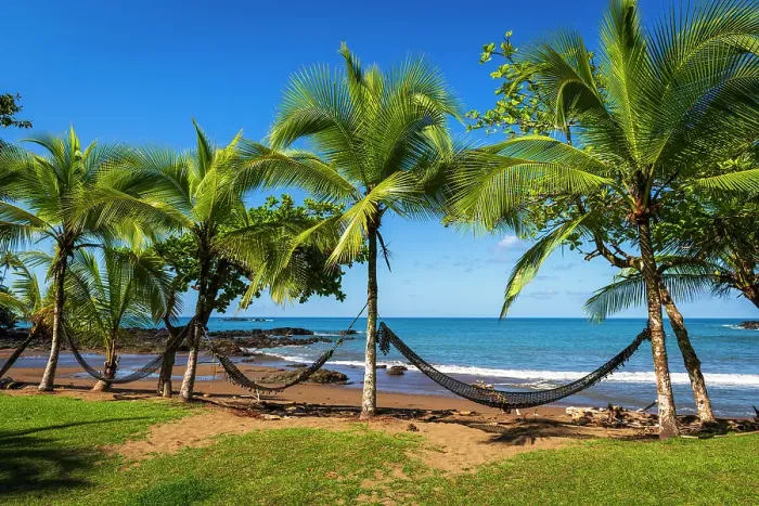 Framed Print : Hammocks on the beach at San Petrillo, Corcovado National Park, Puntarenas Province, Costa Rica
