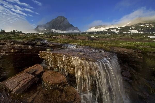 The Hanging Gardens at Logan Pass in Glacier National Park in Montana