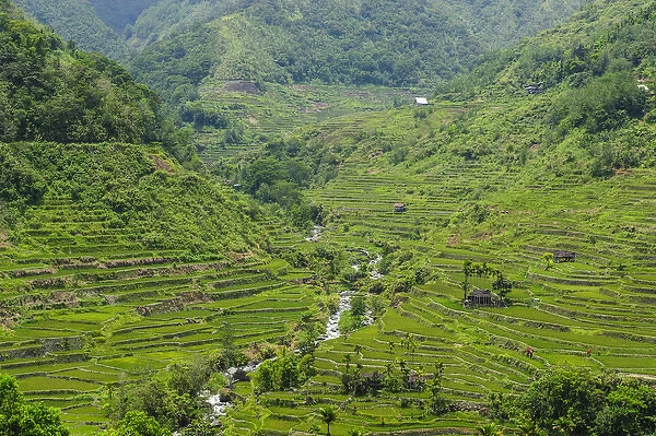 Hapao rice terraces part of the world heritage sight Banaue, Luzon, Philippines