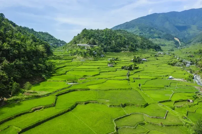 Framed Print : Hapao rice terraces part of the world heritage sight Banaue, Luzon, Philippines