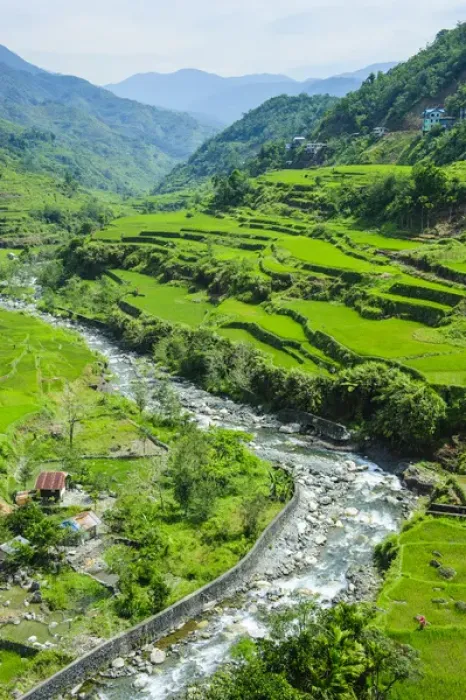 Framed Print : Hapao rice terraces part of the world heritage sight Banaue, Luzon, Philippines Framed Print : Hapao rice terraces part of the world heritage sight Banaue, Luzon, Philippines
