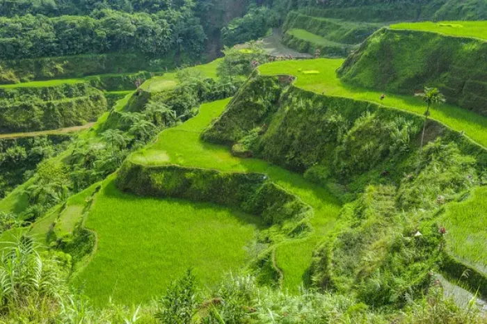 Framed Print : Hapao rice terraces part of the world heritage sight Banaue, Luzon, Philippines Framed Print : Hapao rice terraces part of the world heritage sight Banaue, Luzon, Philippines