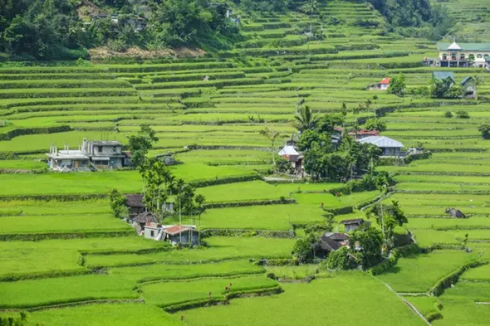 Framed Print : Hapao rice terraces part of the world heritage sight Banaue, Luzon, Philippines Framed Print : Hapao rice terraces part of the world heritage sight Banaue, Luzon, Philippines
